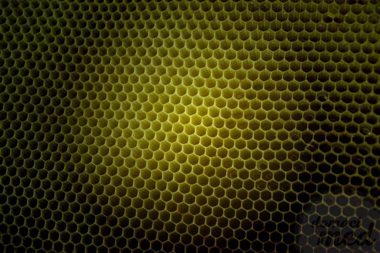 Blízko na včelí plást s hexagonálními buňkami.