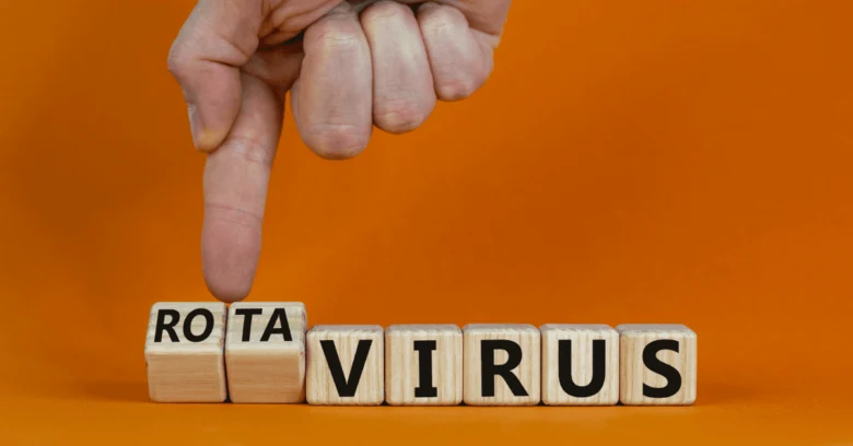 Rukou ukazující na dřevěné kostky s nápisem Rota virus.