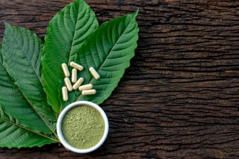 Zelené listy kratomu s práškem v misce na dřevě.