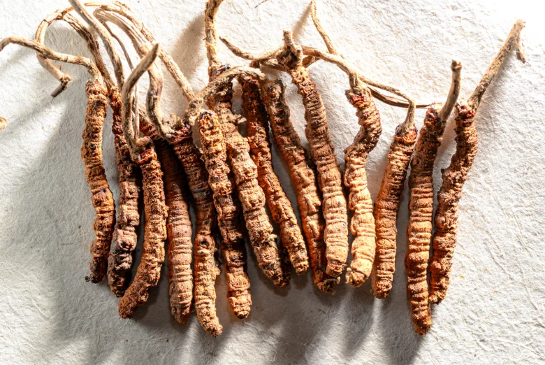 Sušené houby cordyceps ležící na bílém povrchu.