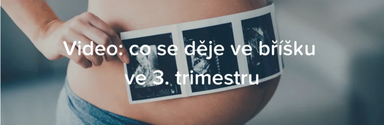 Těhotná žena drží ultrazvukové snímky na svém břiše.