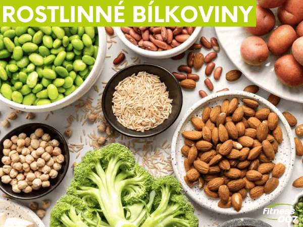 Různé rostlinné zdroje bílkovin jako sójové boby, ořechy a zelenina.