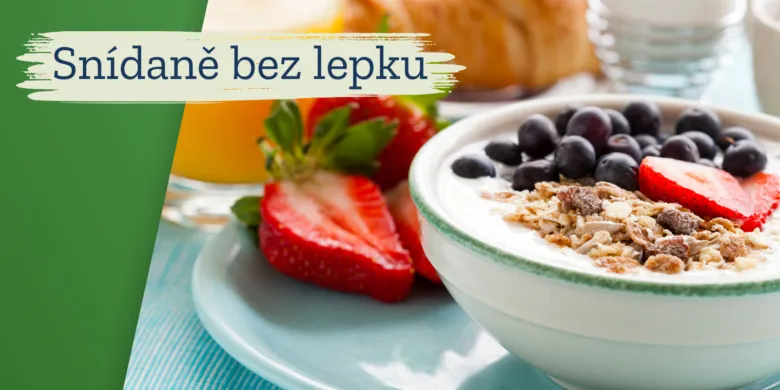 Mísa s jogurtem, bobulemi bez lepku a ovesnými vločkami.