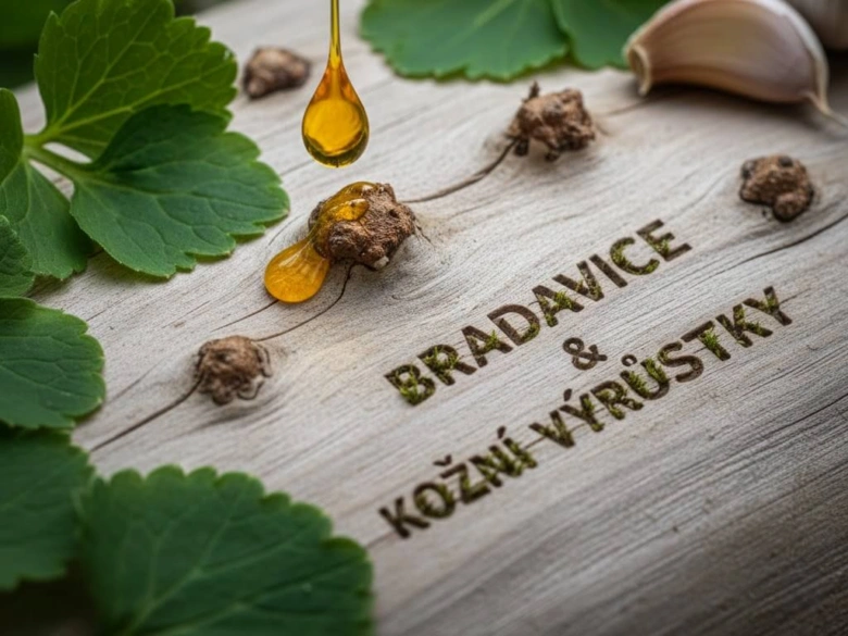 Kapička oleje na bradavici s bylinkami a česnekem