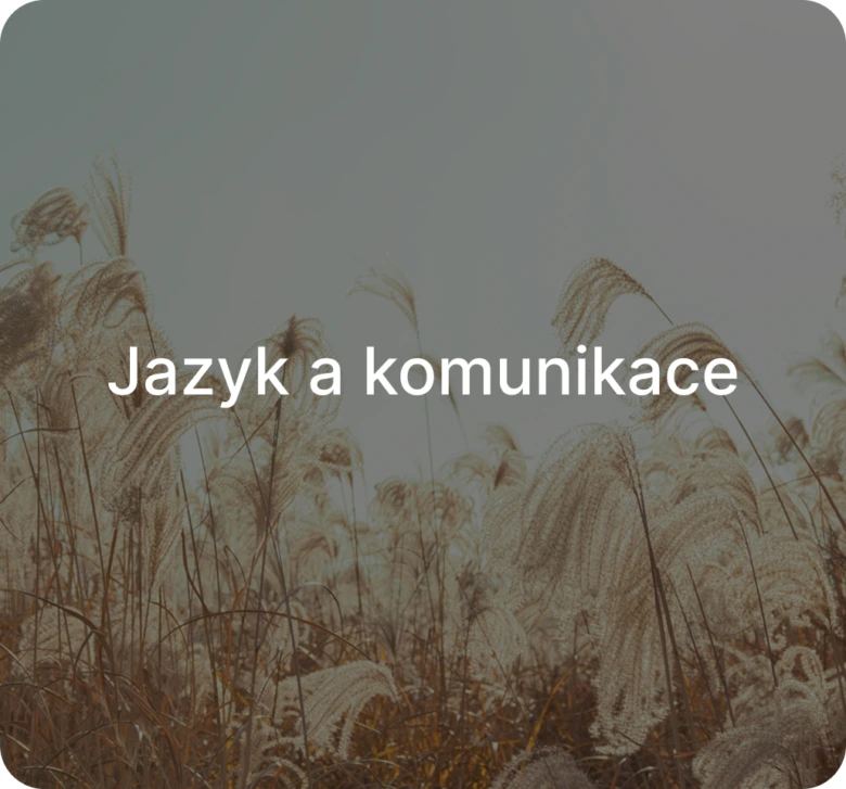 Vysoká tráva na pozadí článku o kognitivních funkcích mozku.